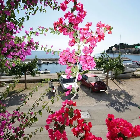 Dubravka Apartamento Podgora (Split-Dalmatia)